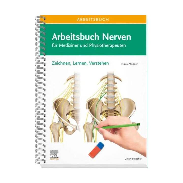 Arbeitsbuch Nerven