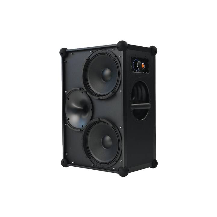 SOUNDBOKS Speaker 4 (216 W, Aktiv-Lautsprecher, Schwarz)