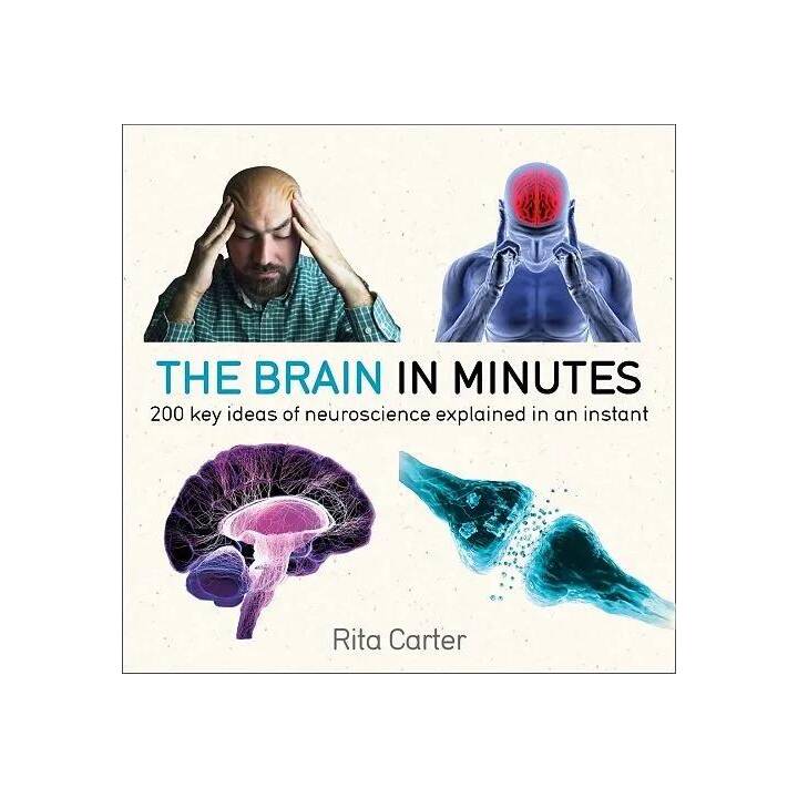 The Brain in Minutes