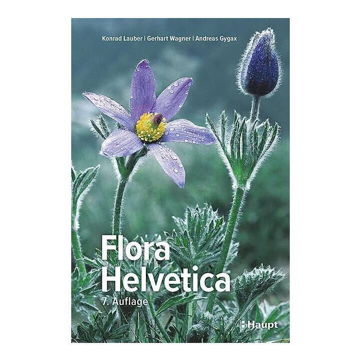 Flora Helvetica - Illustrierte Flora der Schweiz