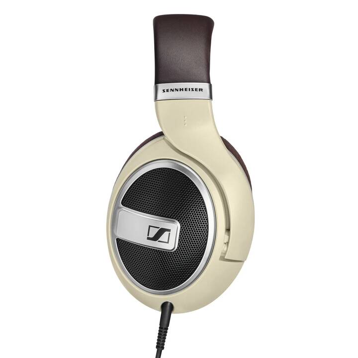 SENNHEISER HD 599 (Over-Ear, Ivoire)