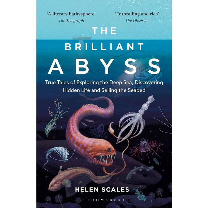 The Brilliant Abyss