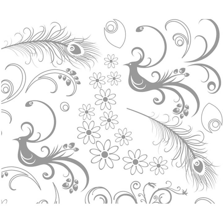 URSUS Cartone (Bianco, A4, 10 pezzo)