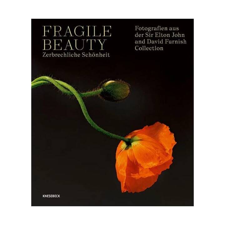 Fragile Beauty - zerbrechliche Schönheit