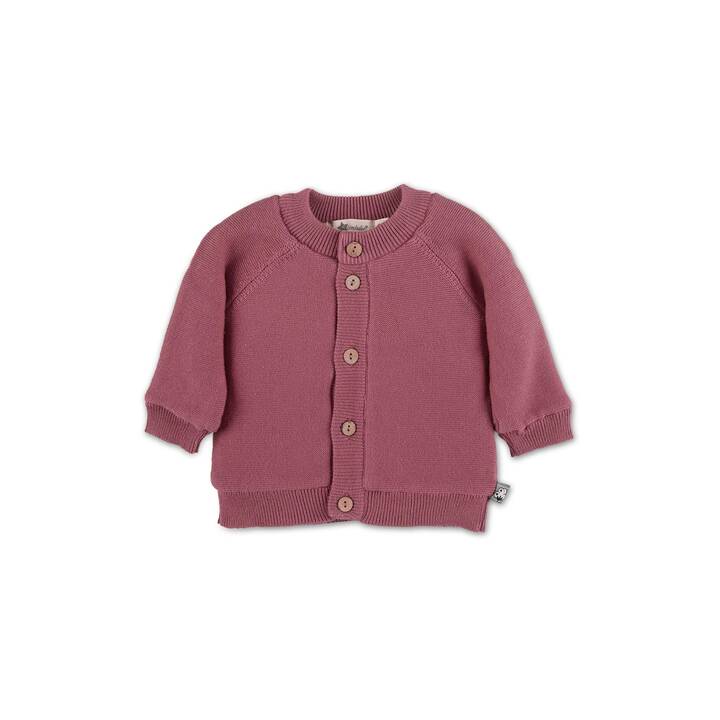 STERNTALER Veste pour enfants (86, Rose)