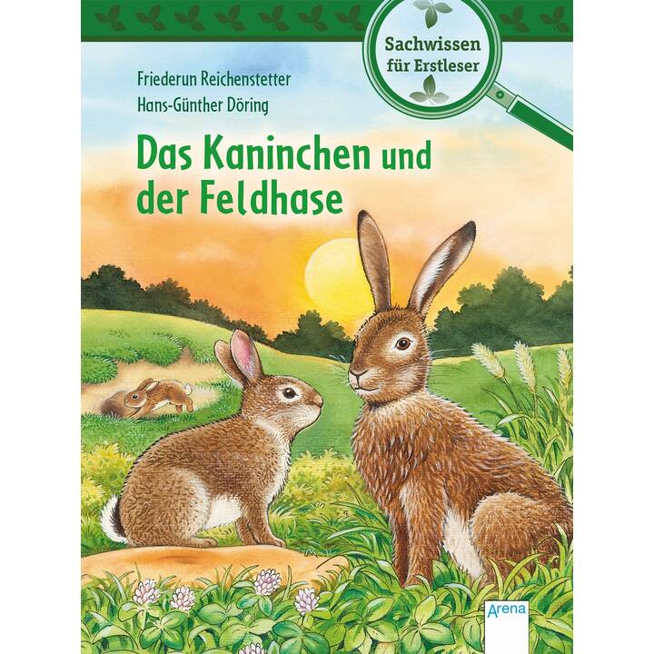 Das Kaninchen und der Feldhase