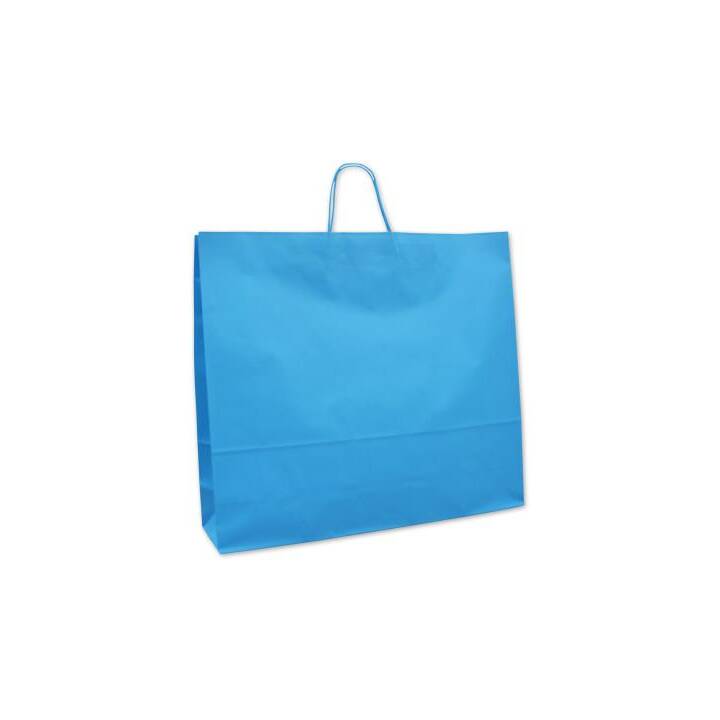 ELCO Sachet cadeau (25 Stk, Turquoise)