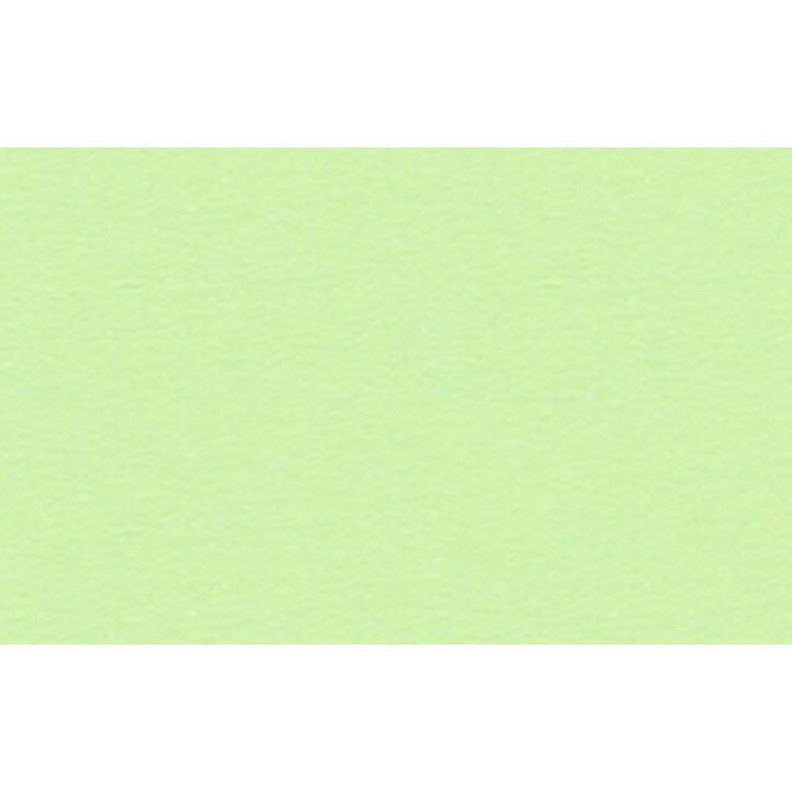 URSUS Carta da disegno (Verde menta, 10 pezzo)