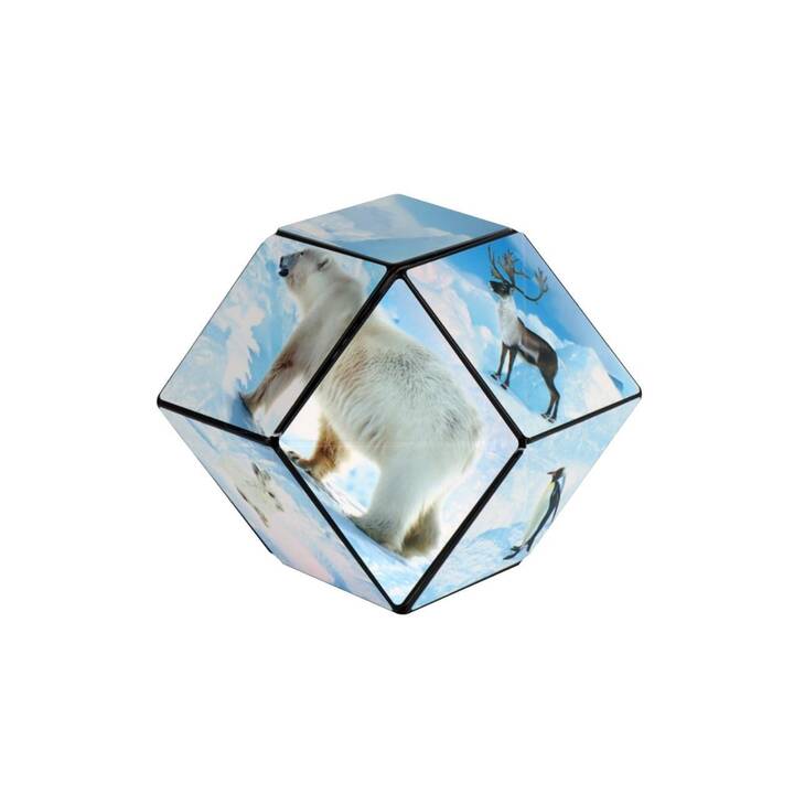 SHASHIBO Knobelspiel Cube Arctic