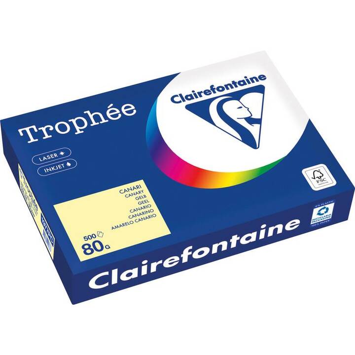 CLAIREFONTAINE DCP Farbiges Papier (500 Blatt, A4, 80 g/m2)