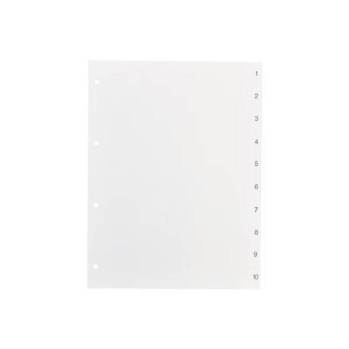BIELLA Registro (10 x A4, In bianco)