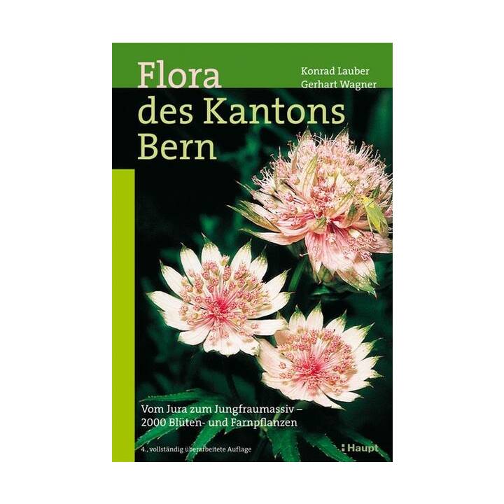 Flora des Kantons Bern