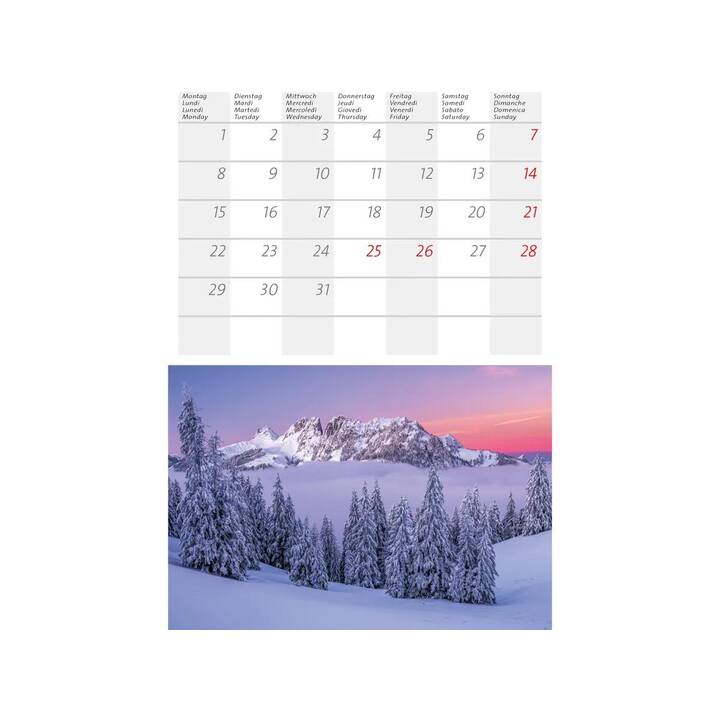 CALENDARIA Bildkalender (2025)