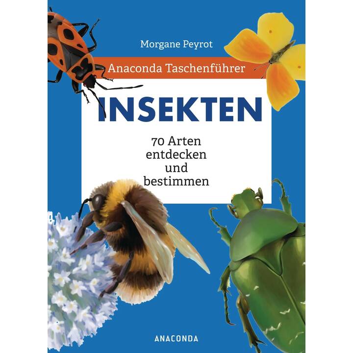 Anaconda Taschenführer Insekten. 70 Arten entdecken und bestimmen