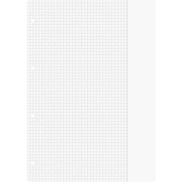 BRUNNEN Carta sostitutiva (A4, Quadrettato, 100 pezzo)