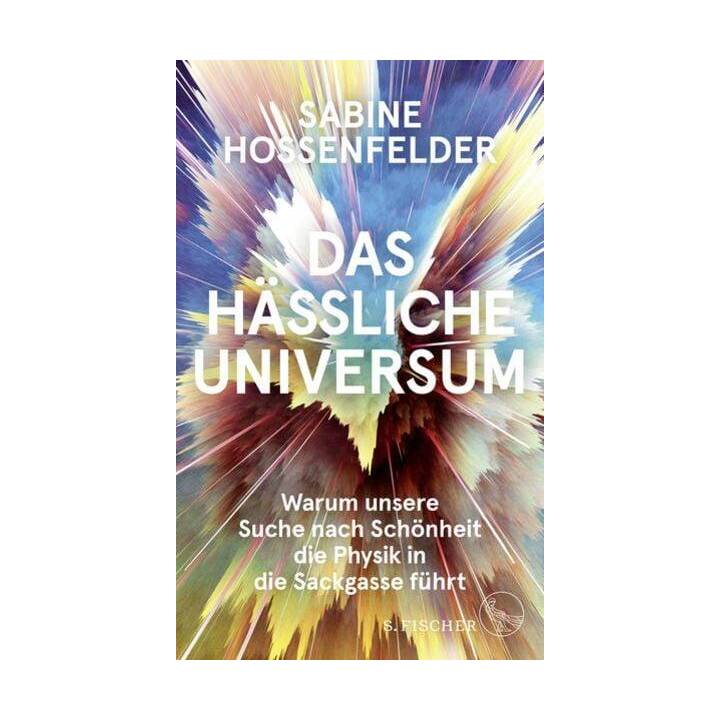 Das hässliche Universum