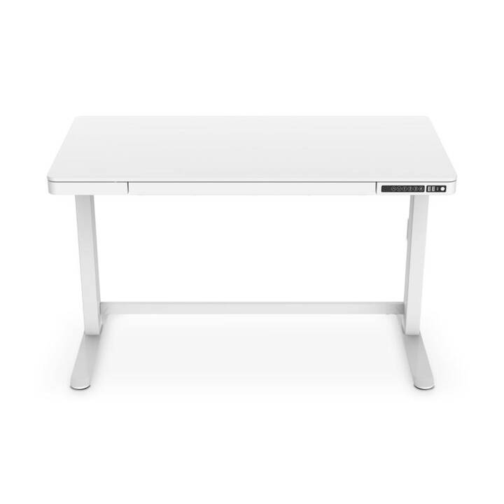 ASSMANN ELECTRONIC tavolo per computer (Bianco, 120 cm x 60 cm x 121 cm)