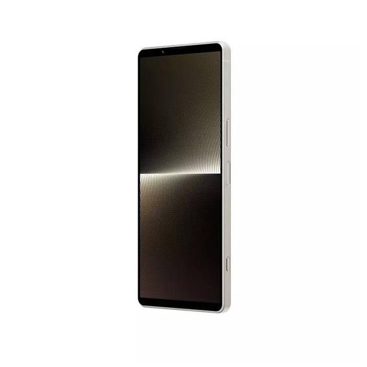 SONY Xperia 1 V 256GB (256 GB, Silber, 6.5", 48 MP, 5G)