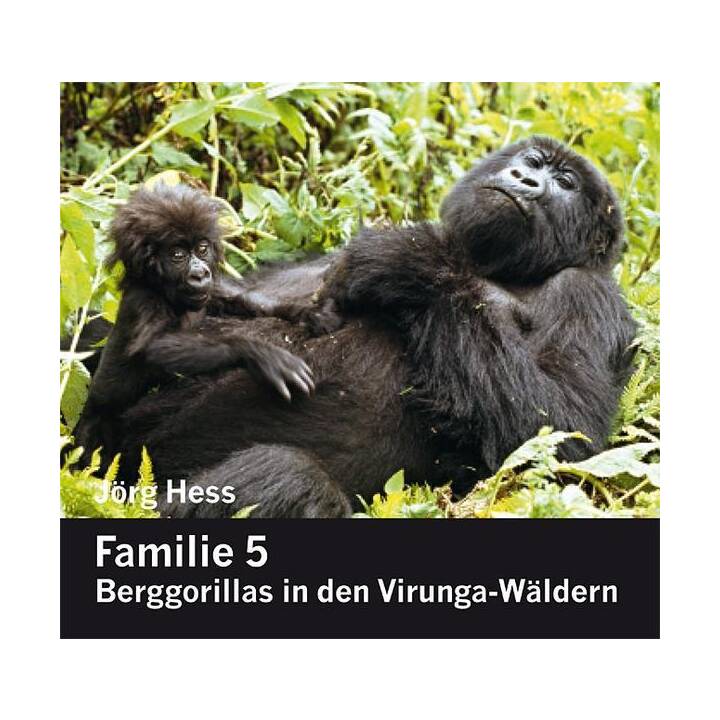 Familie 5, Berggorillas in den Virunga-Wäldern