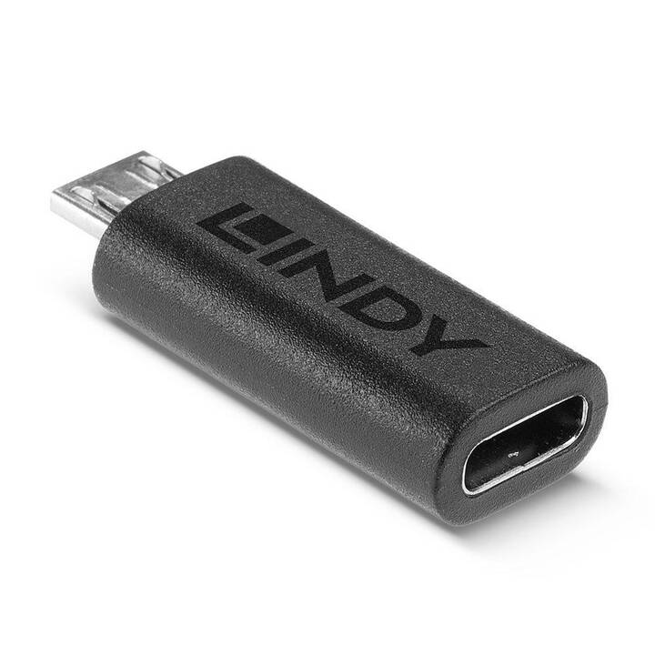 LINDY Adattatore (USB C, USB 2.0 Micro Tipo-B)