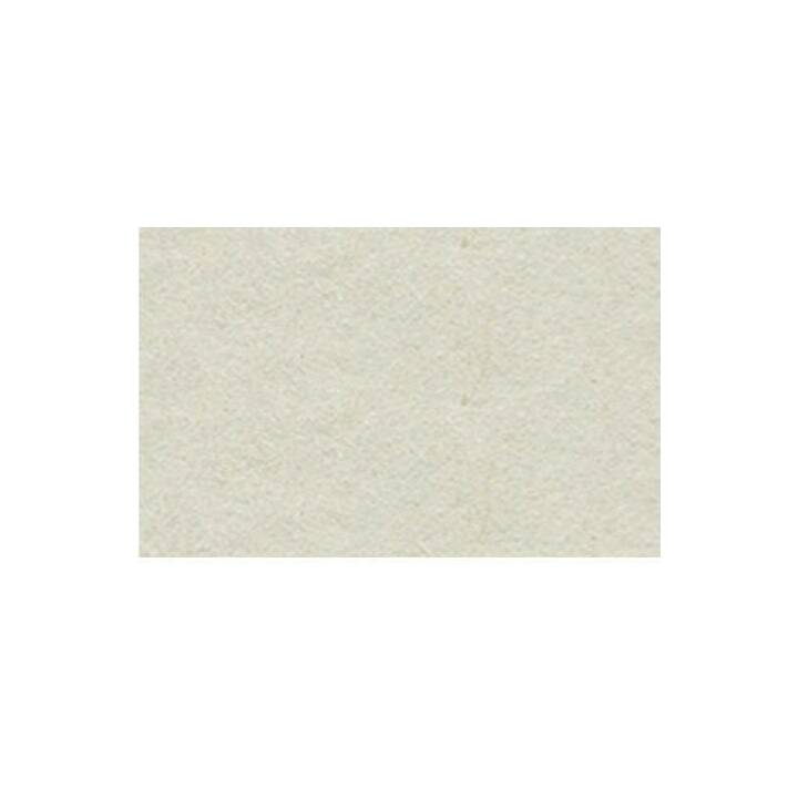 URSUS Carton (Gris clair, A4, 100 pièce)
