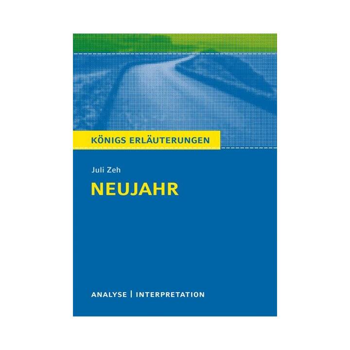 Neujahr von Juli  Zeh.