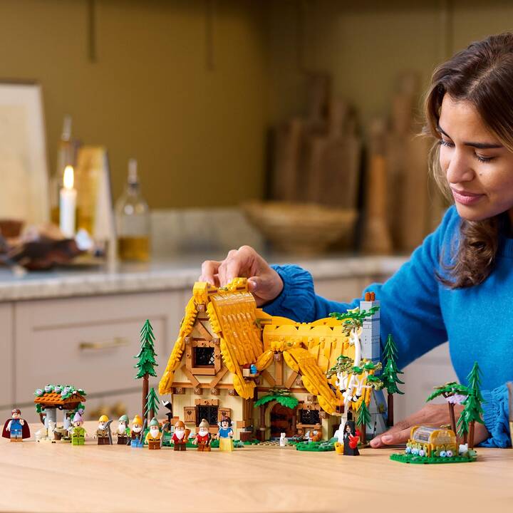 LEGO Disney Il cottage di Biancaneve e i Sette Nani (43242, Difficile da trovare)