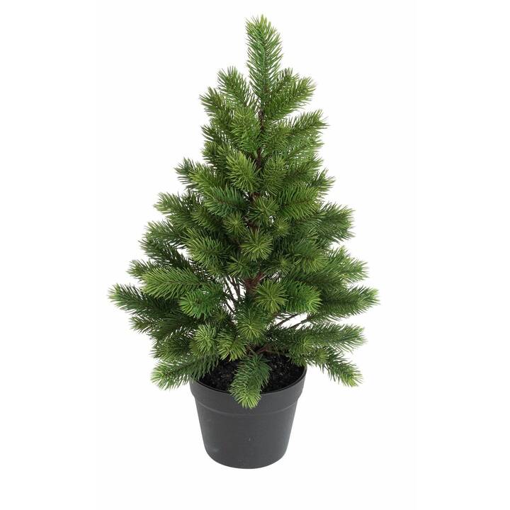 BOTANIC-HAUS Weihnachtsbaum (60 cm)