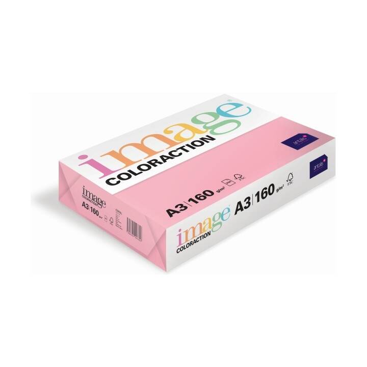 IMAGE Coloraction Farbiges Papier (250 Blatt, A3, 120 g/m2)