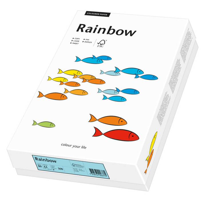 PAPYRUS Rainbow Papier couleur (250 feuille, A4, 160 g/m2)