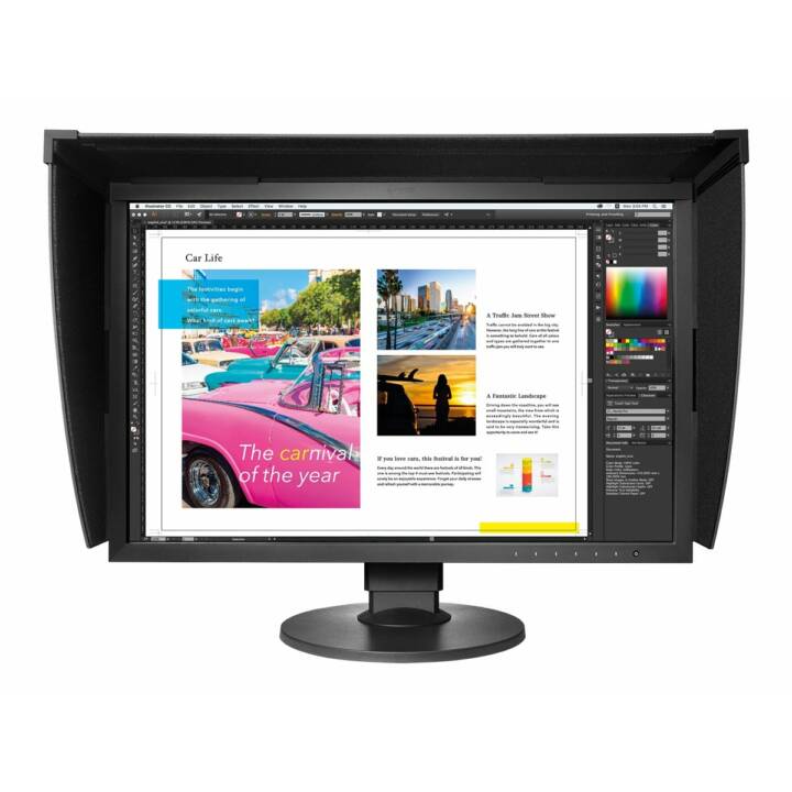 EIZO ColorEdge CG2420 Swiss Edition (24.1", 1920 x 1200)