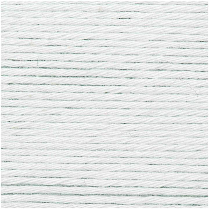 RICO DESIGN Laine Creative Cotton Aran (50 g, Gris, Bleu)