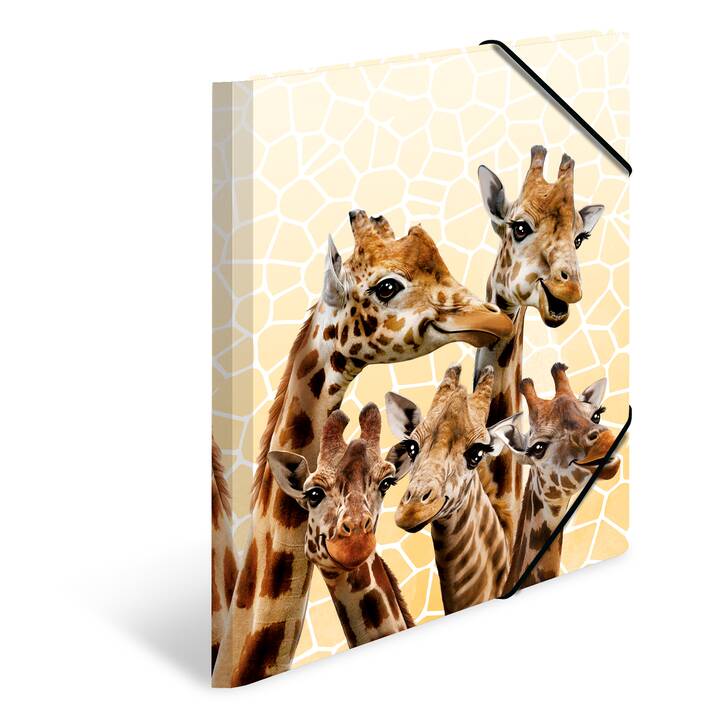 HERMA Dossier à élastique Giraffe (Multicolore, A4, 1 pièce)