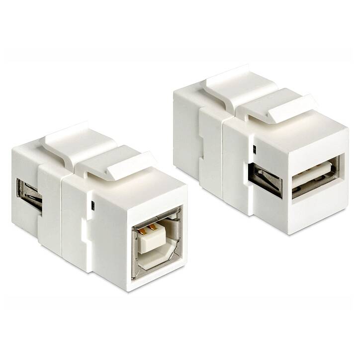 DELOCK Adapter (USB 2.0 Typ-A, USB 2.0 Typ-B)
