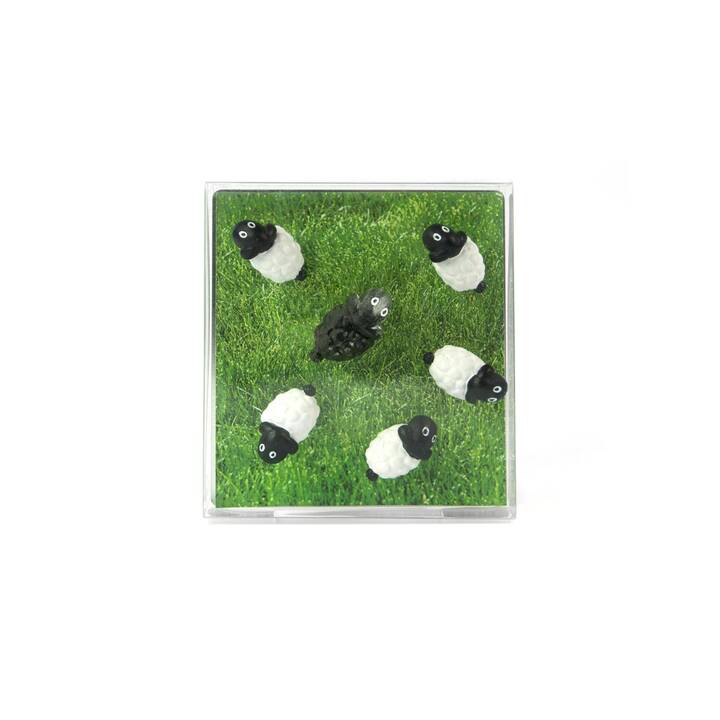 TRENDFORM Sheep Puntina magnetico (6 pezzo)