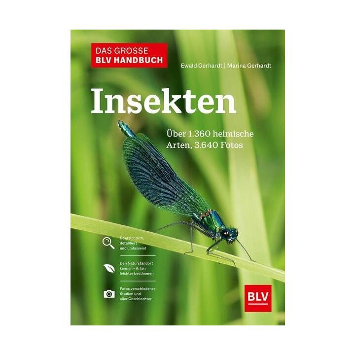 Das grosse BLV Handbuch Insekten