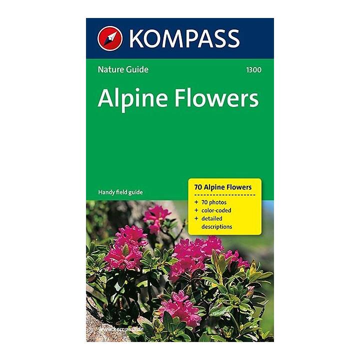 Alpine Flowers (Alpenblumen)