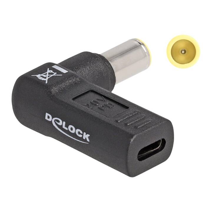 DELOCK Adattatore (USB C, 5.5 mm Klinke)
