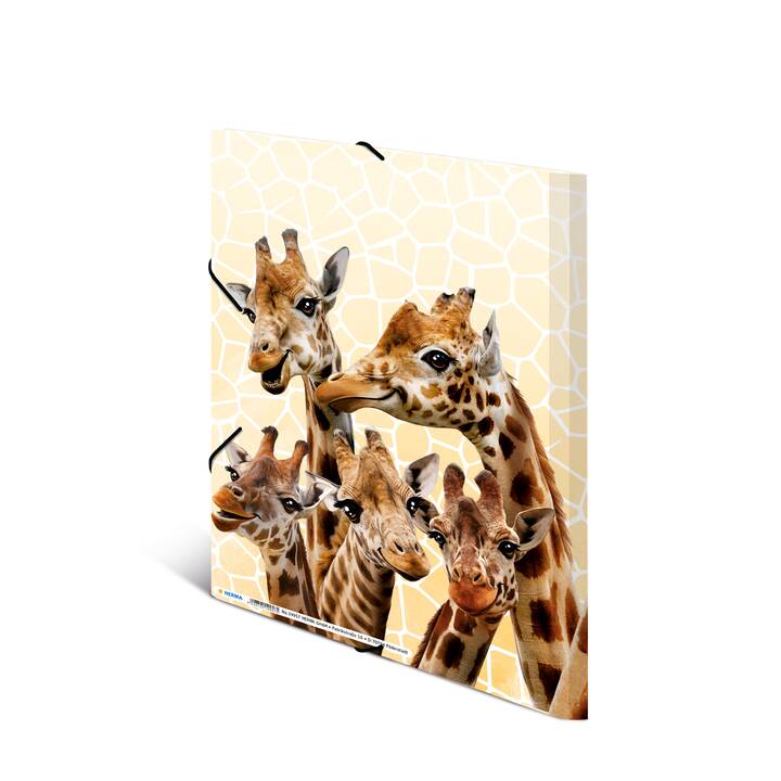 HERMA Dossier à élastique Giraffe (Multicolore, A4, 1 pièce)