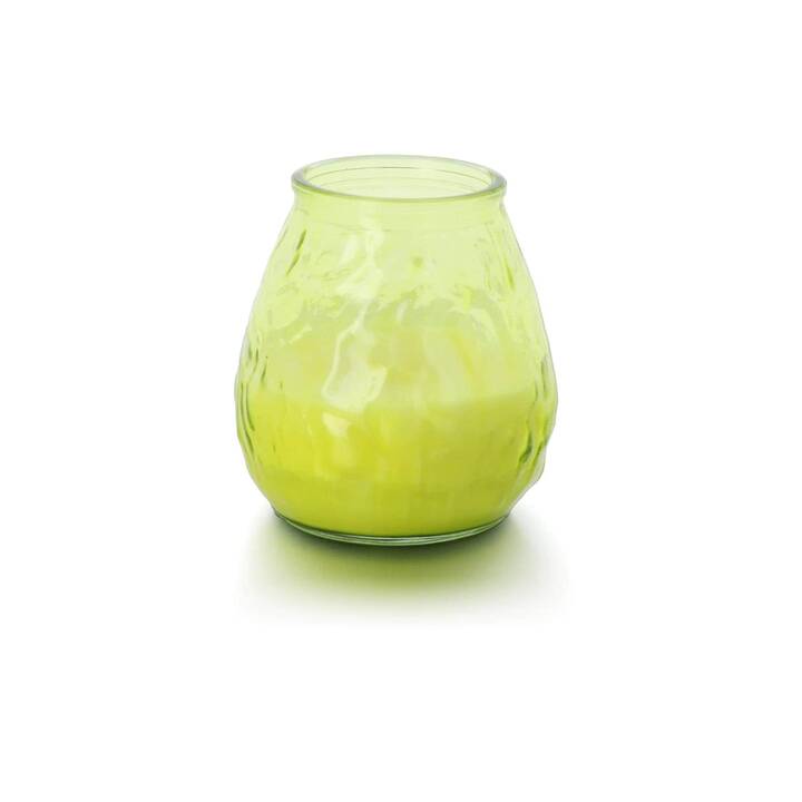 BALTHASAR Bougie dans un récipient Citronella (Vert clair, Orange, Vert)