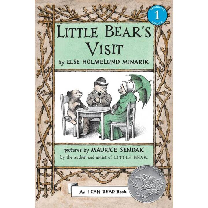 Little Bear's Visit