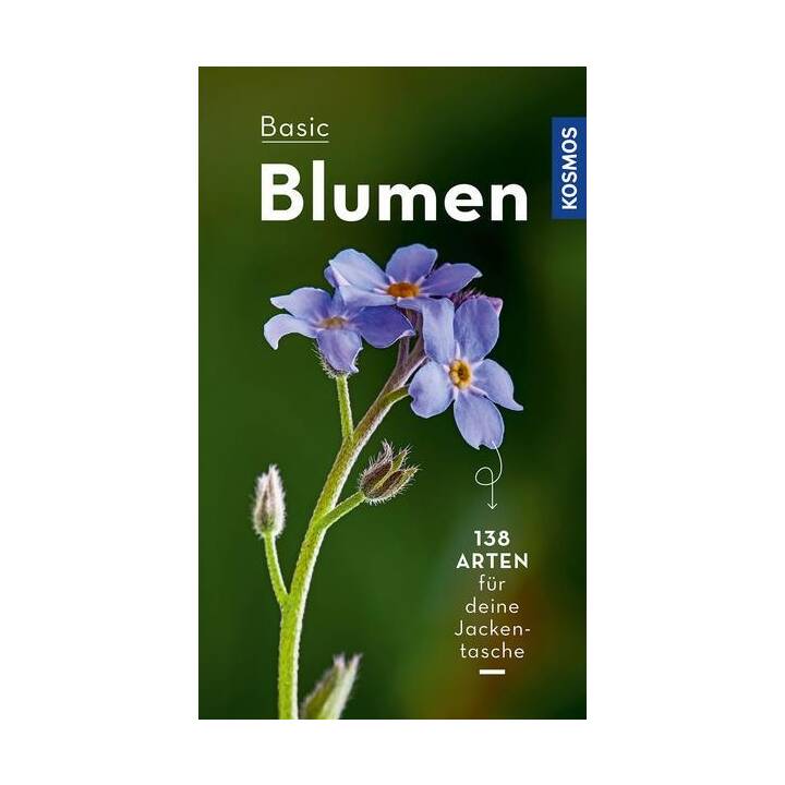 BASIC Blumen