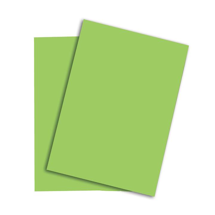 PAPYRUS Papier couleur (250 feuille, A4, 120 g/m2)