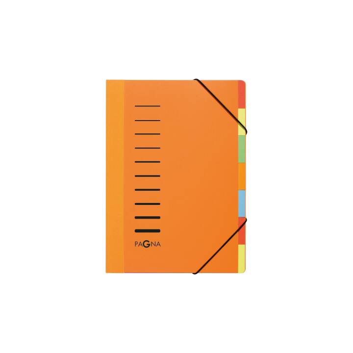 PAGNA Archivio a soffietto Trend  (Arancione, A4, 1 pezzo)