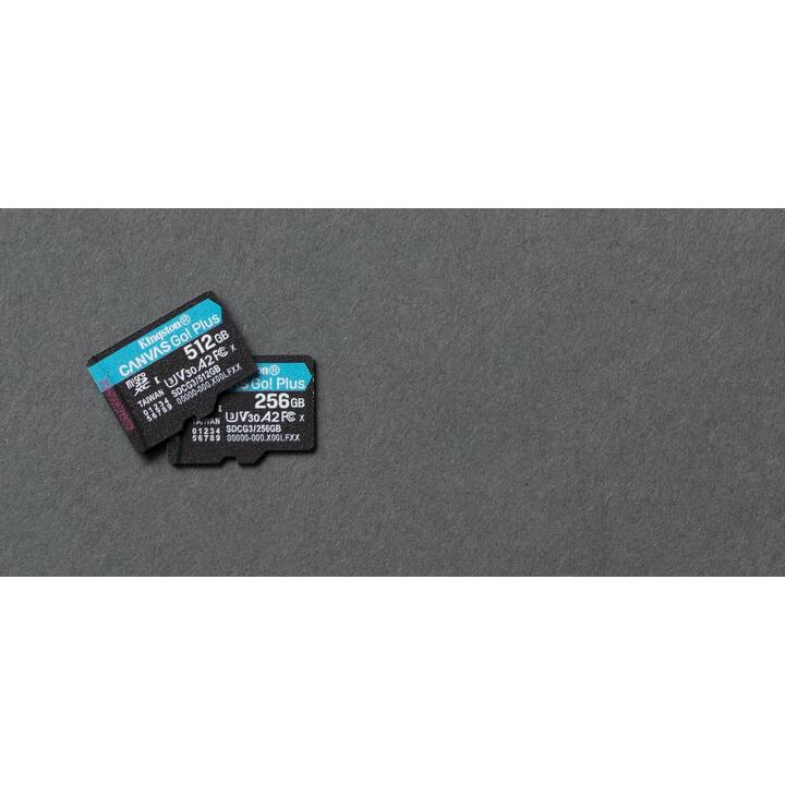 KINGSTON TECHNOLOGY MicroSD Canvas Go! (Class 10, 256 Go, 170 Mo/s)