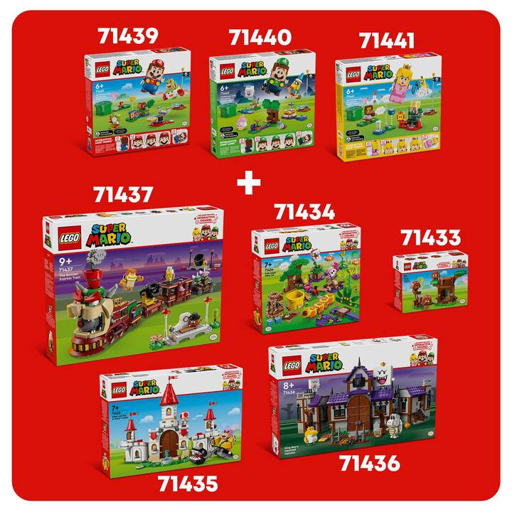 LEGO Super Mario Terrain de jeu des Goombas (71433)