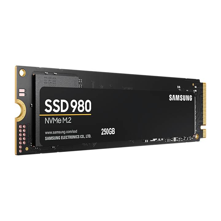 SAMSUNG 980 (PCI Express, 250 GB, Noir)