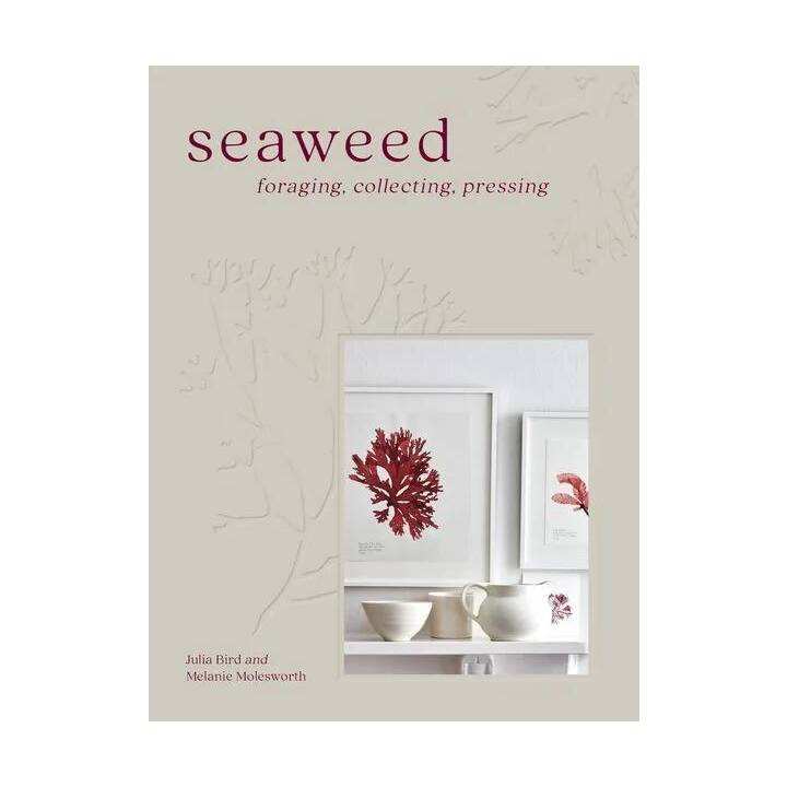 Seaweed