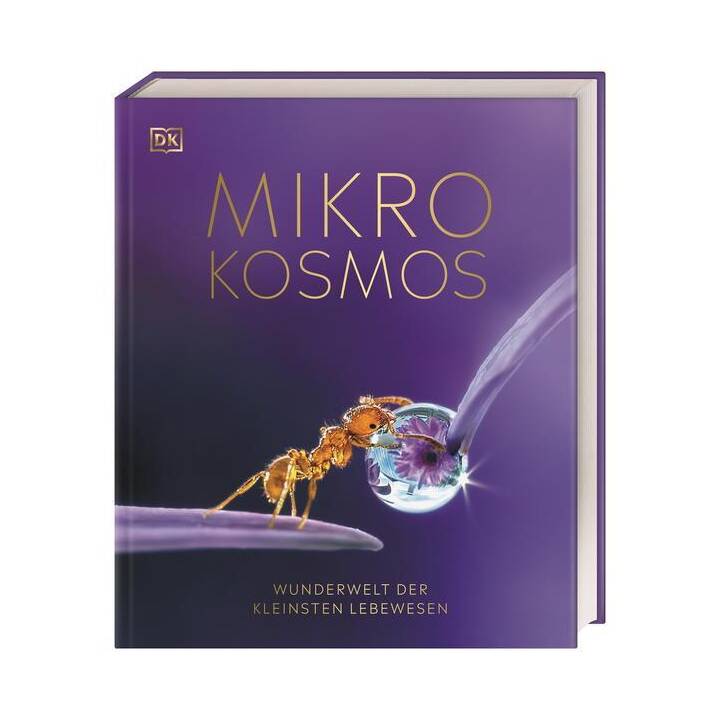 Mikrokosmos - Wunderwelt der kleinsten Lebewesen