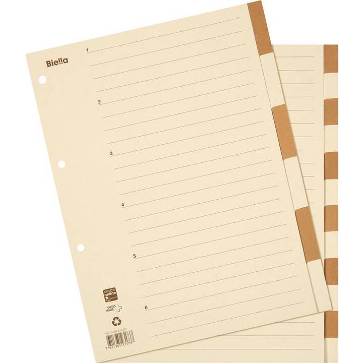 BIELLA Register (12 x A4, Farblich)